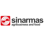 Best Cloud software solution provided by Pro Int in Indonesia tailored for smart business growth and innovation